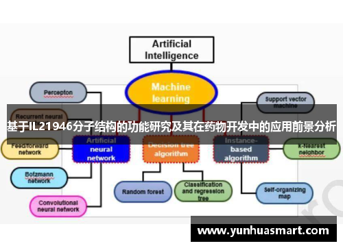 基于IL21946分子结构的功能研究及其在药物开发中的应用前景分析